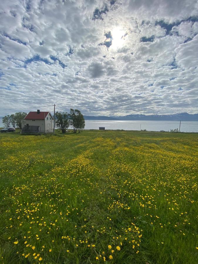 Unique And Charming Holiday Home With Fantastic Sea Views Tromso Ngoại thất bức ảnh
