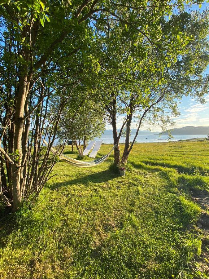 Unique And Charming Holiday Home With Fantastic Sea Views Tromso Ngoại thất bức ảnh