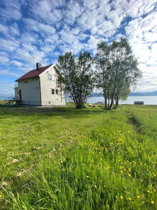 Unique And Charming Holiday Home With Fantastic Sea Views Tromso Ngoại thất bức ảnh