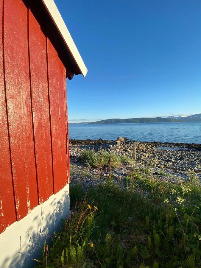 Unique And Charming Holiday Home With Fantastic Sea Views Tromso Ngoại thất bức ảnh