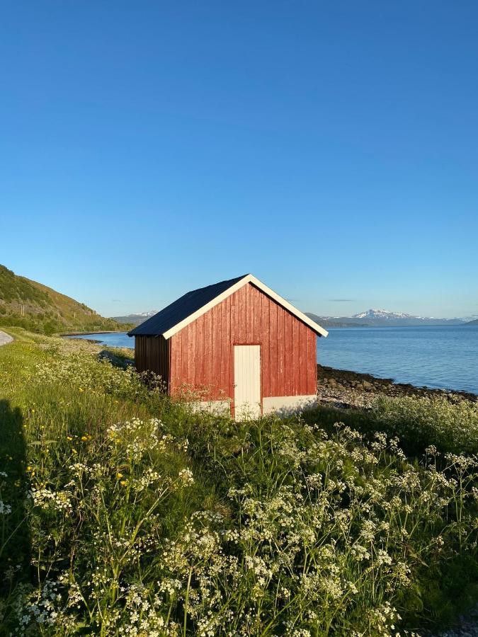 Unique And Charming Holiday Home With Fantastic Sea Views Tromso Ngoại thất bức ảnh