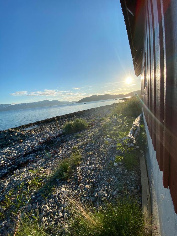 Unique And Charming Holiday Home With Fantastic Sea Views Tromso Ngoại thất bức ảnh