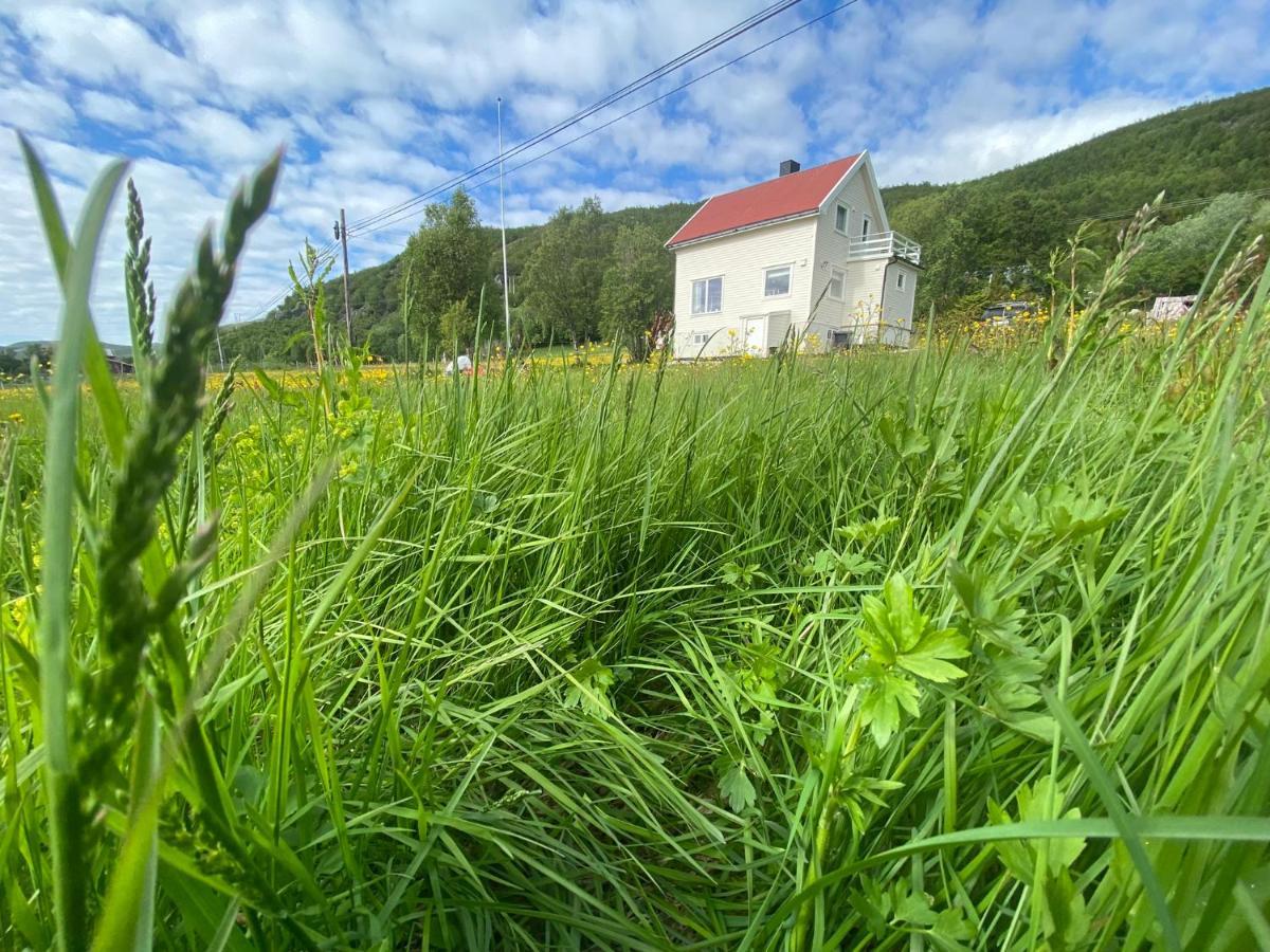 Unique And Charming Holiday Home With Fantastic Sea Views Tromso Ngoại thất bức ảnh