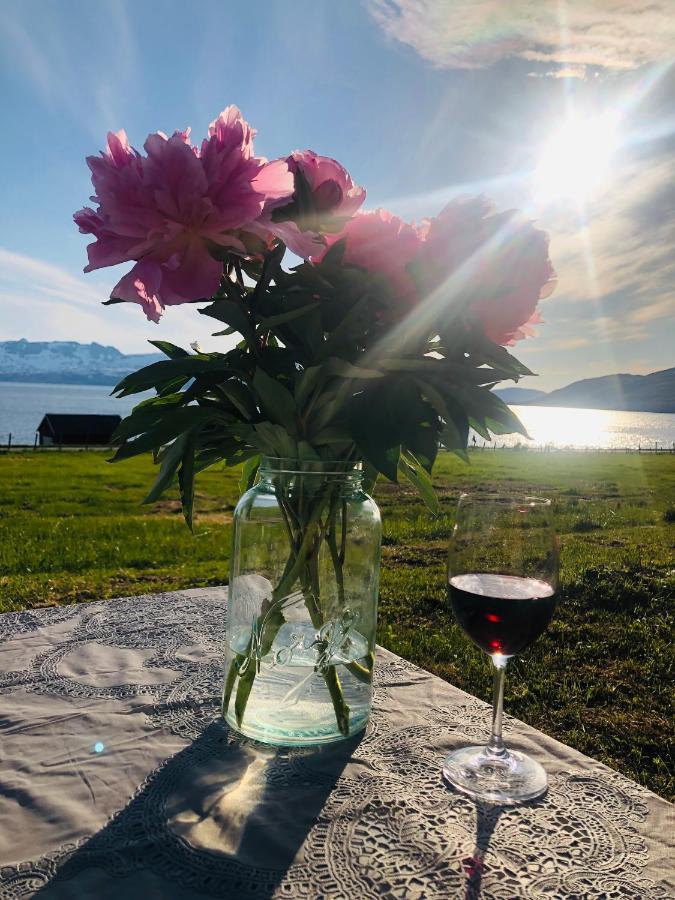 Unique And Charming Holiday Home With Fantastic Sea Views Tromso Ngoại thất bức ảnh