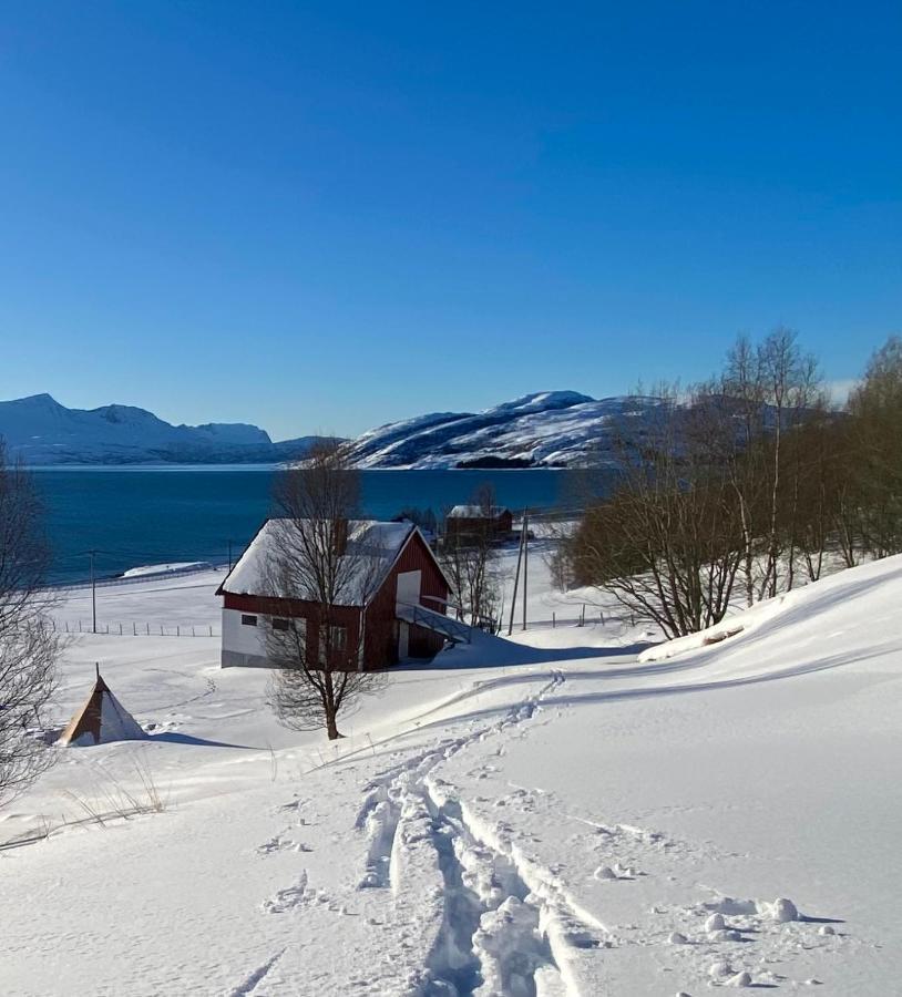 Unique And Charming Holiday Home With Fantastic Sea Views Tromso Ngoại thất bức ảnh